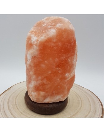 Lampe en Cristal de Sel d'Himalaya à 19,90 € - Zen Arôme Poids de