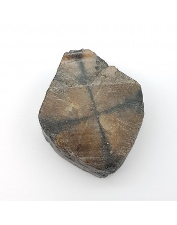 Andalousite ou Chiastolite, pierre roulée proposée par Gaiance Minéraux