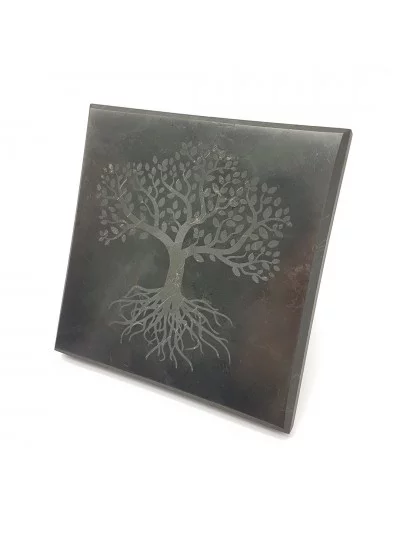 Gravure Arbre de Vie sur Shungite 10cm - Vertus et bienfaits - Gaiance Minéraux