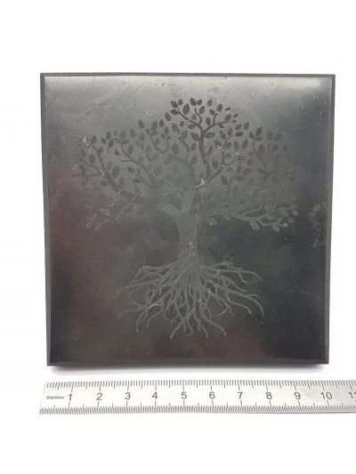 Gravure Arbre de Vie sur Shungite 10cm - Vertus et bienfaits - Gaiance Minéraux