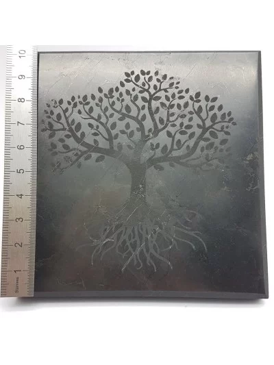 Gravure Arbre de Vie sur Shungite 10cm - Vertus et bienfaits - Gaiance Minéraux